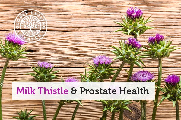 milk-thistle-and-prostate-health