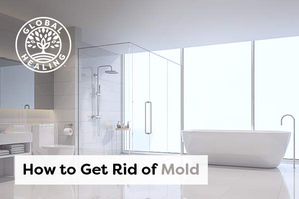 Natural, Eco-Friendly Ways to Get Rid of Mold - Dr. Eddy ...