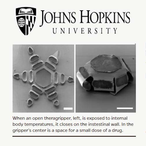 Johns Hopkins University - nanotechnology